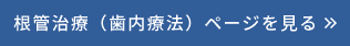 根管治療（歯内療法）ページを見る